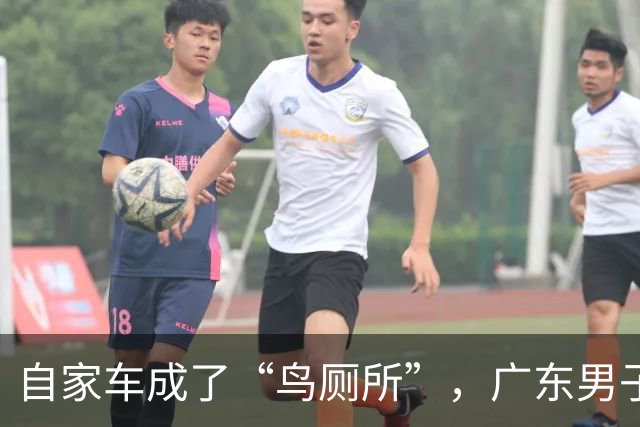 自家车成了“鸟厕所”，广东男子莫名确诊肺炎，医生：已有数例此类患者；温馨提醒：鸟粪不能随意擦